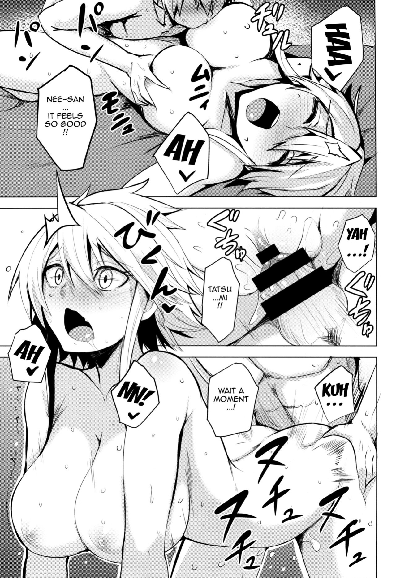 (SC2015 Winter) [Wareme (Coupe)] Shishi Ane (Akame ga Kill!)