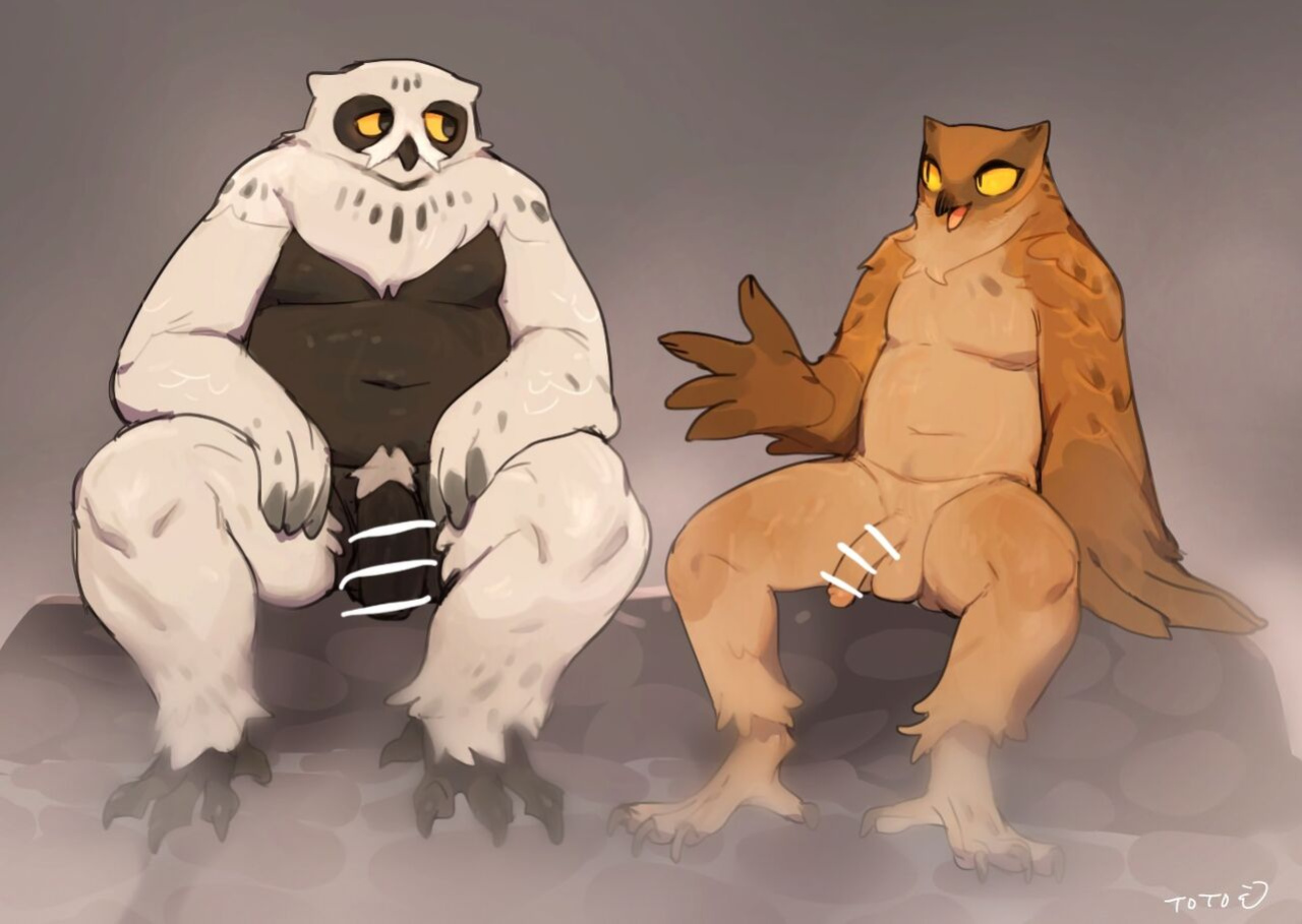 White-Tailed Eagle and Owls