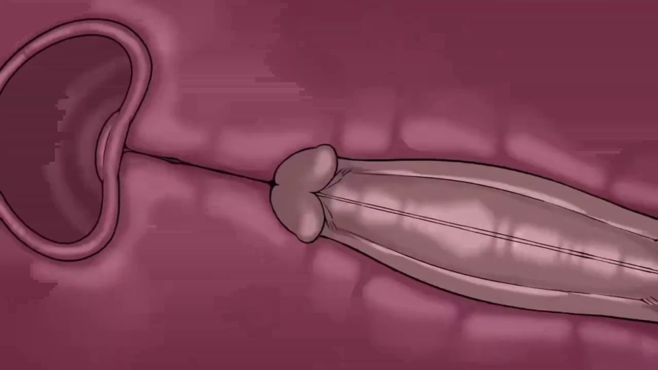 [TheNewPassion] A Night Alone (Deltarune) (Animated - WIPS) (Ongoing)