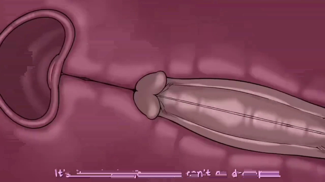 [TheNewPassion] A Night Alone (Deltarune) (Animated - WIPS) (Ongoing)