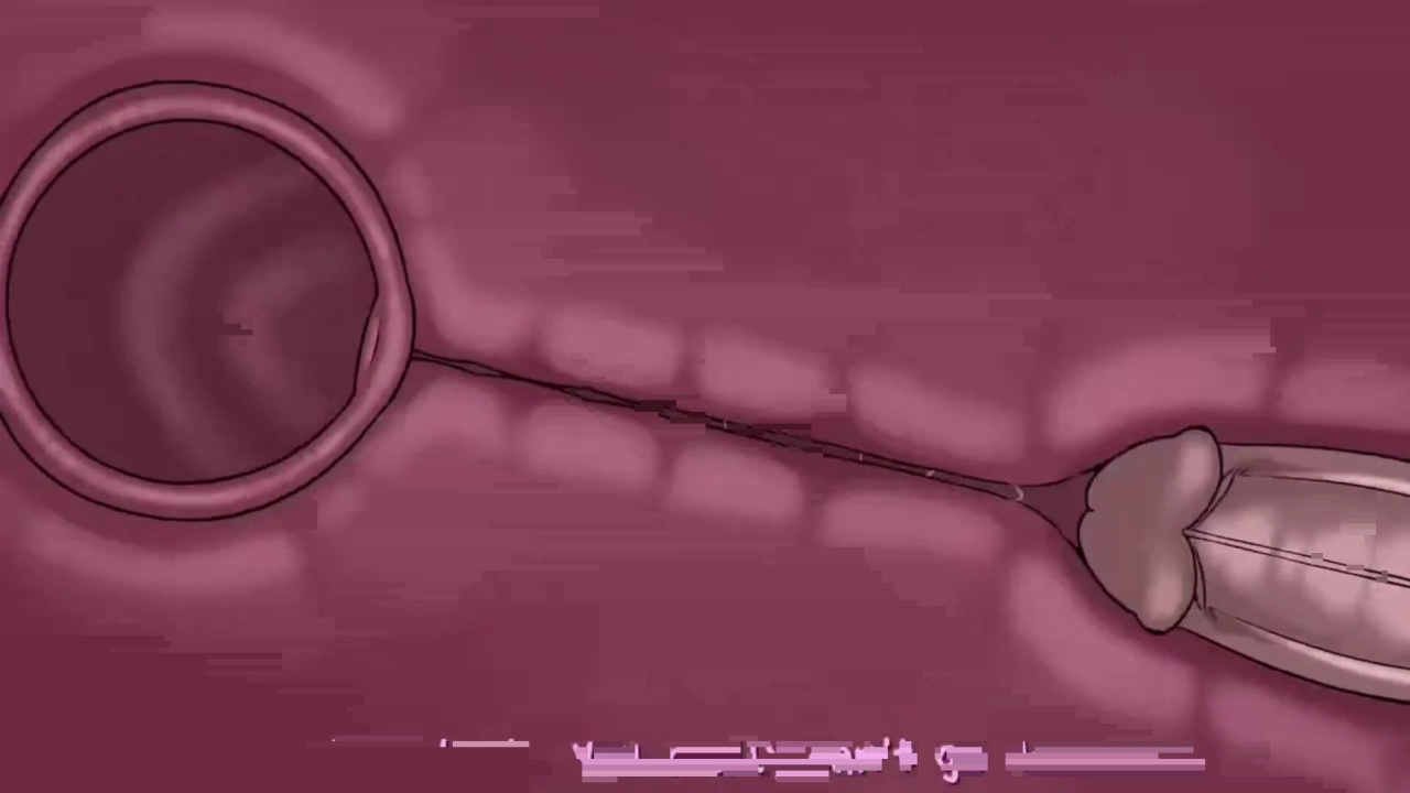 [TheNewPassion] A Night Alone (Deltarune) (Animated - WIPS) (Ongoing)