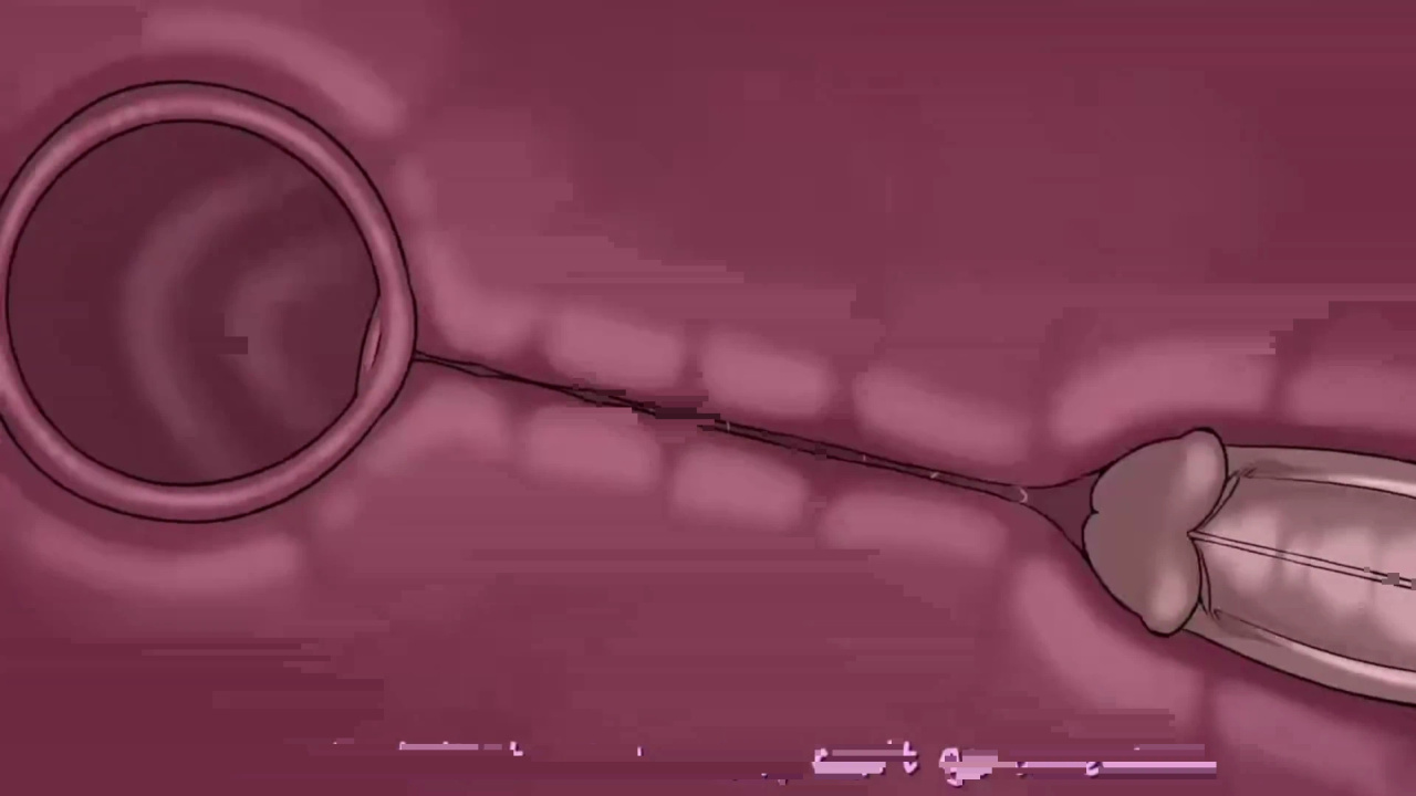 [TheNewPassion] A Night Alone (Deltarune) (Animated - WIPS) (Ongoing)