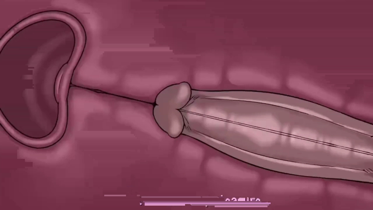 [TheNewPassion] A Night Alone (Deltarune) (Animated - WIPS) (Ongoing)