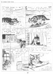 The Complete Crumb Comics #1