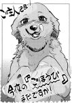 [Kon Juuichibai (Momou)]Goshujin-sama! Konya wa no "Gohoubi" Madadesuga! [digital][uncensored]