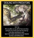 [Chochi] Dealing With Predators