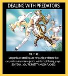 [Chochi] Dealing With Predators