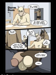 [Meesh] Dorm Dom