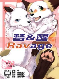 (Kansai! Kemoket 5) [D-Point! (Diga Tsukune)] Yume Utsutsu Lovage [Colorized]