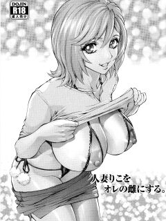 (C95) [Human High-Light Film (Shiosaba)] Hitozuma Riko o Ore no Mesu ni Suru. {project valvrein}