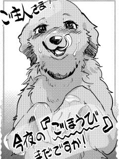 [Kon Juuichibai (Momou)]Goshujin-sama! Konya wa no "Gohoubi" Madadesuga! [digital][uncensored]