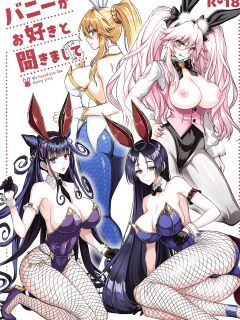 (C100) [Yohsyuan (Son Yohsyu)] Bunny ga Osuki to Kikimashite | We Heard You Like Bunny Girls. (Fate/Grand Order)