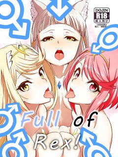 [Shiroi Yami (k-you)] Rex ga Ippai! | Full of Rex! (Xenoblade Chronicles 2) [Saki-Kotowari]