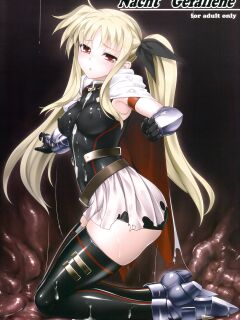 (C85) [Kuroi Miyako (Rindou, Kuroi Hiroki)] Nacht Gefallene (Mahou Shoujo Lyrical Nanoha) {Hennojin}