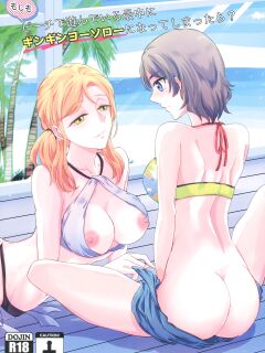 [Fireworks ] Moshimo Beach de Asondeiru Saichuu ni Gingin Yousoro ni natte Shimattara? (Love Live! Sunshine!!)