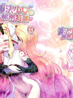 (C97) [Manmanya (Titiduki)] Gohou Shoujo no Himitsu Tokkun (Fate/Grand Order) Preview