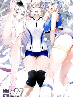 (C99) [Gasshuukoku Netamekoru (Nekometaru)] SPOHAME 3 {Doujins.com}