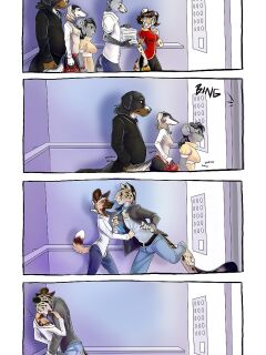 [Demicoeur] 3 Dog Night - Elevator Preview