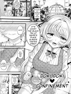 [Gin-chan] Lilith's Troubles—Doki Doki Confinement