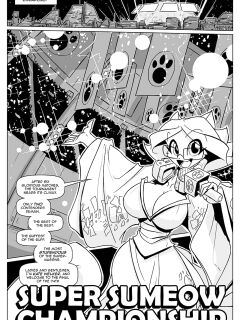 [Jolly Jack] Super Sumeow Championship Preview