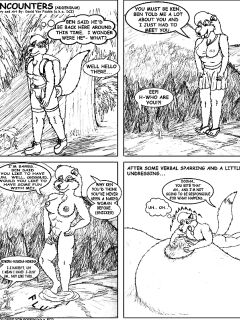 [David Von Foxkin] Encounters