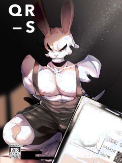 [Desfrog] QR_S Preview