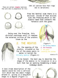 Arkomeda's Tutorials