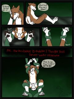 [BinturongBoy] The Incubator