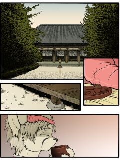 [Dktorzi] Chakat Season 1