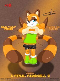 [Otakon] A Final Farewell 2 (Sonic The Hedgehog)